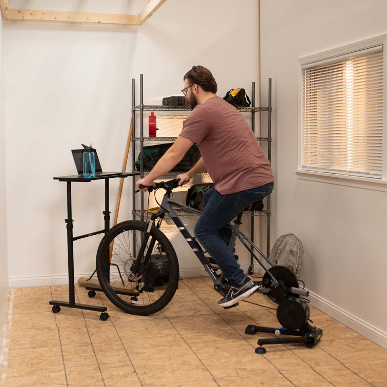 Wayfair store exercise bikes